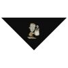 SOL'S Bandana Thumbnail